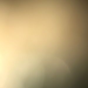 Meet your Posher, Penny